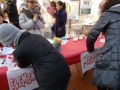 decorazioni portici e capannone piazza santa rosa (13).JPG